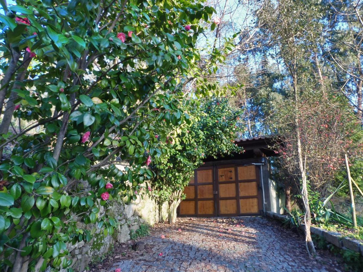 Quinta Da Tapada Apartment Longos ภายนอก รูปภาพ